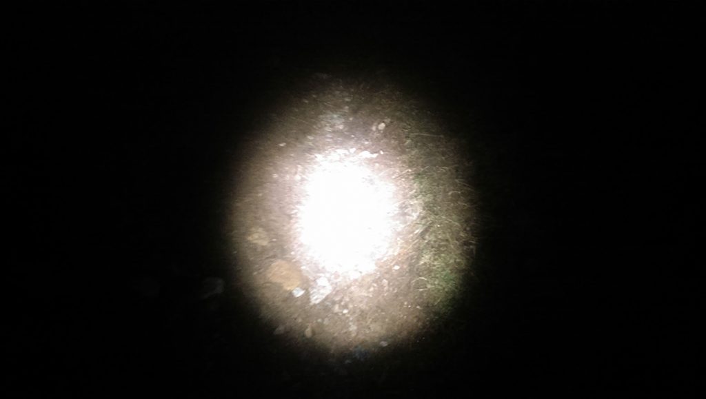 Alpkit gemini beam shape
