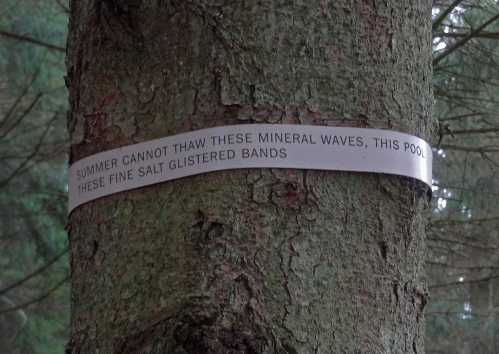 I thought these were forestry markers, but closer inspection shows a poetic touch on the trees in Tyrebagger