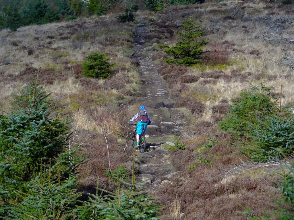 Downhiller sets off from Tappie Tower at Kirkhill forest. Later inspection of strava flybys shows he did this bouldery section twice as fast as me